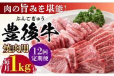 【全12回定期便】おおいた豊後牛 焼肉用 1kg(500g×2P) 日田市 / 株式会社MEAT PLUS 牛肉 おおいた豊後牛 おおいた 豊後牛 黒毛和牛 国産  焼肉 焼肉用 [AREI103]
