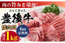 【全6回定期便】おおいた豊後牛 焼肉用 1kg(500g×2P) 日田市 / 株式会社MEAT PLUS 牛肉 おおいた豊後牛 おおいた 豊後牛 黒毛和牛 国産  焼肉 焼肉用 [AREI102]