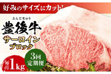 【全3回定期便】【厳選部位】おおいた豊後牛 サーロイン ブロック 1kg 日田市 / 株式会社MEAT PLUS 牛肉 おおいた豊後牛 おおいた 豊後牛 黒毛和牛  サーロイン ローストビーフ ブロック ロースト [AREI104]