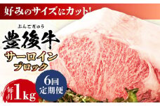 【全6回定期便】【厳選部位】おおいた豊後牛 サーロイン ブロック 1kg 日田市 / 株式会社MEAT PLUS 牛肉 おおいた豊後牛 おおいた 豊後牛 黒毛和牛  サーロイン ローストビーフ ブロック ロースト [AREI105]