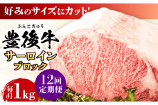 【全12回定期便】【厳選部位】おおいた豊後牛 サーロイン ブロック 1kg 日田市 / 株式会社MEAT PLUS 牛肉 おおいた豊後牛 おおいた 豊後牛 黒毛和牛  サーロイン ローストビーフ ブロック ロースト [AREI106]