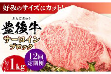 【全12回定期便】【厳選部位】おおいた豊後牛 サーロイン ブロック 1kg 日田市 / 株式会社MEAT PLUS 牛肉 おおいた豊後牛 おおいた 豊後牛 黒毛和牛  サーロイン ローストビーフ ブロック ロースト [AREI106]