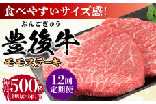 【全12回定期便】おおいた豊後牛 モモ ステーキ 約500g(100g×5P) 日田市 / 株式会社MEAT PLUS 牛肉 おおいた豊後牛 おおいた 豊後牛 黒毛和牛 ステーキ  赤身ステーキ 赤身 もも モモ モモステーキ [AREI124]