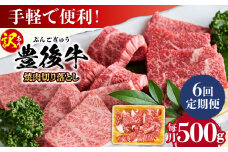 【全6回定期便】【訳あり】おおいた豊後牛 焼肉 切り落とし 500g 日田市 / 株式会社MEAT PLUS 訳あり 牛肉 おおいた豊後牛 おおいた 豊後牛 黒毛和牛 国産  焼肉 焼肉用 [AREI132]