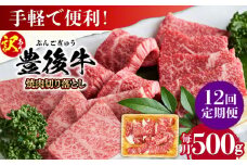 【全12回定期便】【訳あり】おおいた豊後牛 焼肉 切り落とし 500g 日田市 / 株式会社MEAT PLUS 訳あり 牛肉 おおいた豊後牛 おおいた 豊後牛 黒毛和牛 国産  焼肉 焼肉用 [AREI133]