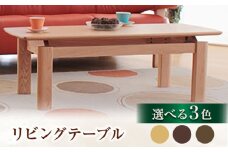 大分県産 リビングテーブル（AT-322#120）幅120cm 奥行き50cm 高さ40cm 日田市 / 株式会社アサヒ　家具 インテリア テーブル [ARDD017]