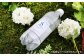 炭酸水 たんさんすい 水 飲料水 みず シリカ ラベルレス 定期便 単品