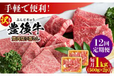 【全12回定期便】【訳あり】おおいた豊後牛 焼肉 切り落とし 1kg(500g×2P) 日田市 / 株式会社MEAT PLUS 訳あり 牛肉 おおいた豊後牛 おおいた 豊後牛 黒毛和牛 国産  焼肉 焼肉用 [AREI136]