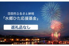 【返礼品なし】日田市へのご寄附50,000円 [ARZZ003]