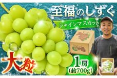 【先行予約・25年9月以降発送】 日田産シャインマスカット 1房 約700g　〜至福のしずく〜　日田市 / 松岡果樹園 シャインマスカット しゃいんますかっと マスカット ますかっと 葡萄 ぶどう ブドウ 期間限定 フルーツ 果物 [AREJ001]