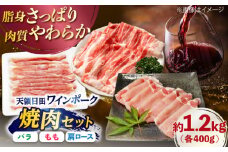 天領日田ワインポーク焼肉セット 約1.2kg 日田市 / 日隈畜産有限会社　焼肉 やきにく 焼肉セット [ARAK008]