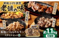 スタミナセットB 4種類　（豚スペアリブ・和牛丸腸・豚サガリ・豚ダルム）計1,130g 日田市 / 福地のうなるホルモン もつ モツ ホルモン ほるもん 和牛 豚肉 まるちょう 焼肉セット [ARAY002]