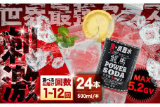 龍馬POWER SODA 500ml×24本 日田市 / 日本ビール株式会社 炭酸水 水 飲料水 みず[ARER001]
