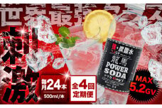 【全4回定期便】龍馬POWER SODA 500ml×24本 計96本 日田市 / 日本ビール株式会社 炭酸水 水 飲料水 みず[ARER004]