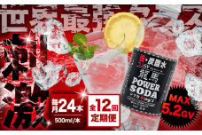 【全12回定期便】龍馬POWER SODA 500ml×24本 計288本 日田市 / 日本ビール株式会社 炭酸水 水 飲料水 みず[ARER012]