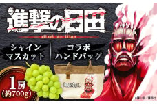 【先行予約・25年9月以降発送】 進撃のシャインマスカット 1房 約700g ハンドバッグ付（超大型巨人）日田市 / 松岡果樹園 シャインマスカット しゃいんますかっと マスカット ますかっと 葡萄 ぶどう ブドウ 期間限定 フルーツ 果物[AREJ002]