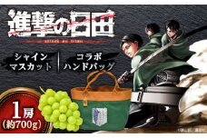 【先行予約・25年9月以降発送】 進撃のシャインマスカット 1房 約700g ハンドバッグ付（調査兵団）日田市 / 松岡果樹園  シャインマスカット しゃいんますかっと マスカット ますかっと 葡萄 ぶどう ブドウ 期間限定 フルーツ 果物
[AREJ003]