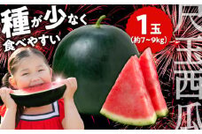 【期間限定】尺玉西瓜(すいか) 1玉（約7kg〜9kg）スイカ すいか  西瓜 尺玉スイカ 黒スイカ 果物 日田市 / JAおおいた  [AREW001]
