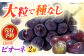 【先行予約 ・25年9月以降順次発送】 ピオーネ 1箱（600〜700g×2房）フルーツ ぶどう 葡萄 ブドウ