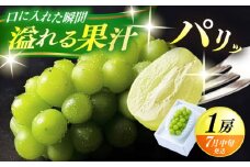 【期間限定】 日田産シャインマスカット1房(約500g)　日田市 / 南国フルーツ株式会社 ブドウ 葡萄 ぶどう しゃいんますかっと 果物 [ARET001]