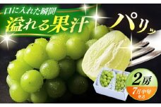 【期間限定】 日田産シャインマスカット2房(約1kg)　日田市 / 南国フルーツ株式会社 ブドウ 葡萄 ぶどう しゃいんますかっと 果物 [ARET002]