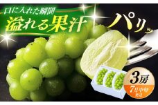 【期間限定】 日田産シャインマスカット3房(約1.5kg)　日田市 / 南国フルーツ株式会社 ブドウ 葡萄 ぶどう しゃいんますかっと 果物 [ARET003]