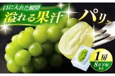【期間限定】日田産シャインマスカット1房(約500g)　日田市 / 南国フルーツ株式会社 ブドウ 葡萄 ぶどう ますかっと 果物 [ARET004]