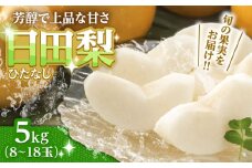 【期間限定】 旬の日田梨お届け便  約5kg(幸水梨、豊水梨、秋月梨、新高梨、新興梨) なし 梨 果物 フルーツ 和梨 こうすい ほうすい あきづき しんこう にいたか 甘い 梨 日田市 / 南国フルーツ株式会社 [ARET008]