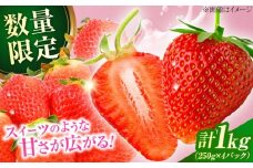 【先行予約・26年2月以降発送】大分産ベリーツ(約250g×4パック) ベリーツ いちご 苺 イチゴ 果物 甘い フルーツ デザート いちご パフェ　日田市 / 南国フルーツ株式会社  [ARET010]