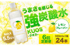 ※削除予定【全6回定期便】強炭酸水クオス レモンフレーバー 500ml×24本 日田市 / 株式会社OTOGINO [AREF048]