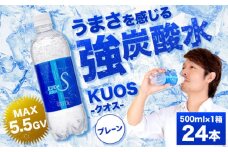 【単品】強炭酸水クオス プレーン 500ml×24本 炭酸水 たんさんすい 水 飲料水 みず 定期便 単品 日田市 / 株式会社OTOGINO [AREF086]