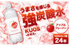 【単品】強炭酸水クオス アップルフレーバー 500ml×24本 炭酸水 たんさんすい 炭酸 たんさん 水 飲料水 みず 定期便 単品 アップル 日田市 / 株式会社OTOGINO [AREF014]