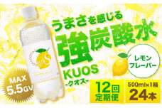 ※削除予定【全12回定期便】強炭酸水クオス レモンフレーバー 500ml×24本 日田市 / 株式会社OTOGINO [AREF047]
