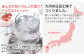 炭酸水 たんさんすい 炭酸 たんさん 水 飲料水 みず 定期便 単品 アップル 