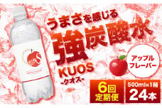 【全6回定期便】強炭酸水クオス アップルフレーバー 500ml×24本 炭酸水 たんさんすい 炭酸 たんさん 水 飲料水 みず 定期便 単品 アップル 日田市 / 株式会社OTOGINO [AREF171]