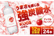 【全12回定期便】強炭酸水クオス アップルフレーバー 500ml×24本 炭酸水 たんさんすい 炭酸 たんさん 水 飲料水 みず 定期便 単品 アップル 日田市 / 株式会社OTOGINO [AREF172]