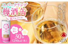スパークリング梅酒 1ケース(250ml×30本入り)　日田市 / 株式会社おおやま夢工房 梅酒 梅 スパークリング [ARCW012]