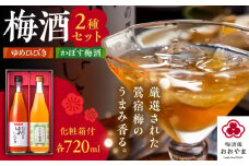 梅酒蔵おおやま 梅酒セット(梅酒・かぼす梅酒) 各720ml　日田市 / 株式会社おおやま夢工房 梅酒 梅 ウメ [ARCW013]