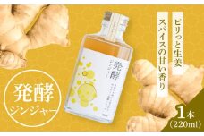 ピリっと生姜にスパイスの甘い香り！身体にも心にも優しい発酵ジンジャーシロップ！発酵ジンジャー（1本） 日田市/株式会社インパクト スパイス 炭酸 シロップ [ARDA008]