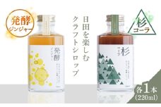 日田杉香るクラフトコーラ　「杉コーラ」　/ピリッと生姜とシナモンの甘い香り　「発酵ジンジャー」　 飲み比べセット（杉コーラ、発酵ジンジャー2本セット/各1本） 日田市/株式会社インパクト スパイス 炭酸 シロップ [ARDA009]