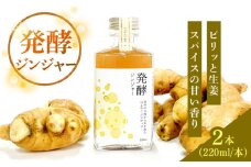 ピリっと生姜にスパイスの甘い香り！身体にも心にも優しい発酵ジンジャーシロップ！発酵ジンジャー（2本セット） 日田市/株式会社インパクト スパイス 炭酸 シロップ [ARDA010]