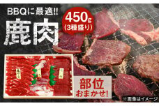 【部位おまかせ】鹿三種盛(焼肉用食べ比べ) 2〜3人前 450ｇ×1パック　日田市 / 株式会社tracks [ARDE004]