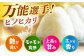  おこめ こめ  米 お米 白米 コメ ご飯 ごはん ライス 新米 国産 okome