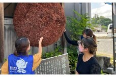 【ご当地お土産付き】豆田町散策ガイドツアー2名分　日田市 / こだわり大分 観光ツアー レトロ 大分県 [ARBT003]