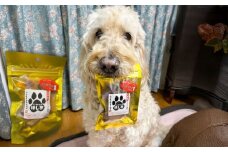 【自然な甘みと歯ごたえ】ワンちゃんの干し芋70g×5袋セット　日田市 / 日本農林産食品製造株式会社 ほしいも 干しいも さつまいも [ARFV005]