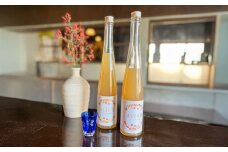 ATIHO(アティホ) ゆずはちみつ梅酒500ml アルコール度数9％　日田市 / 株式会社井上酒造 梅酒 リキュール ゆず [ARDB004]