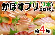 【先行予約】こんなブリ食べたことない！？「うすき産かぼすブリ」（1本）