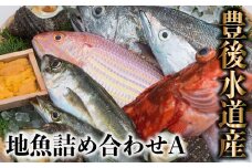 うすき豊後水道物語　豊後水道うすき地魚詰め合わせA