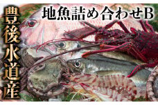 うすき豊後水道物語　豊後水道うすき地魚詰め合わせB