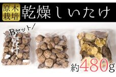 食感と甘みが格別！臼杵産ふるさと乾しいたけＢセット（計480g）
